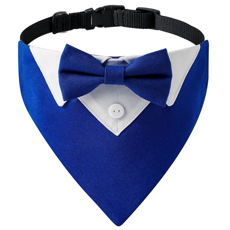 Thumbnail: Formal British Scarf Bow Tie Triangle Dog Collar 