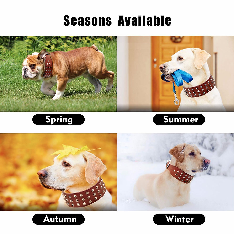Thumbnail: Leather Adjustable Spikes Pet Collar For Small Medium & Large Dogs 