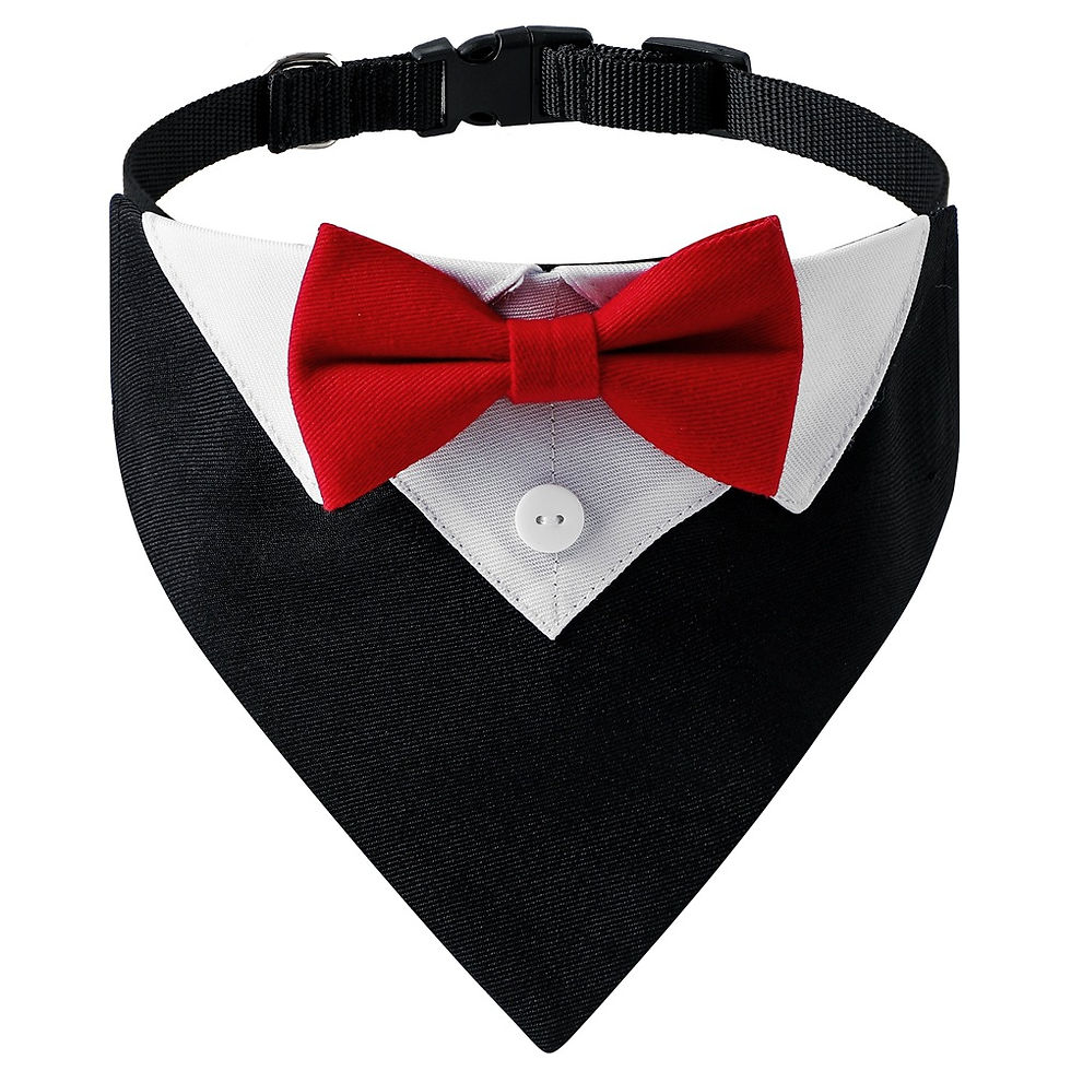 Thumbnail: Formal British Scarf Bow Tie Triangle Dog Collar 