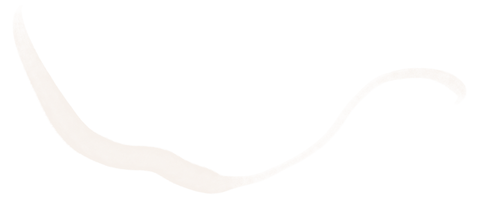 line 01.png