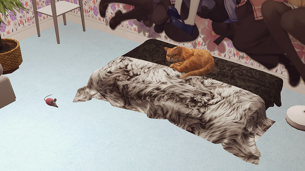 Миниатюра: PetBed_my luxurious pet_and_my cute pet_collection_10color