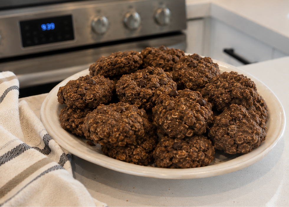 Plate of chocolate oatmeal cookies on a kitchen counter in front of a stove, with a striped dish towel nearby.