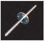 Lag Screw 12"