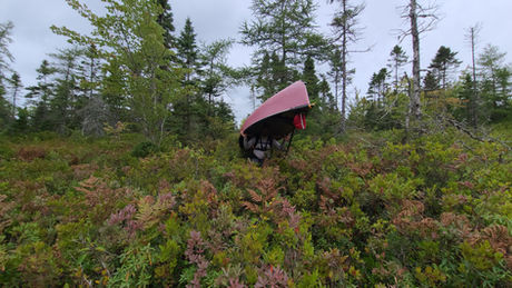 Sept 15, 2021 - A Journey Through The Tobeatic, Part 1