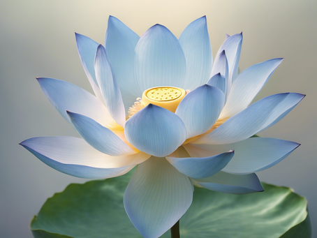 Heal Your Mind and Spirit: Virtual Counseling Services