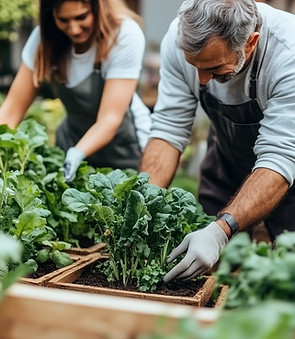 vecteezy_gardening-enthusiasts-planting-vegetables-in-raised-beds_51346144.jpg