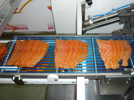 Shingled and grouped smoked salmon