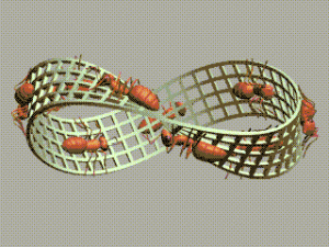 moebius_escher-300x225 Estudos clinicos.
