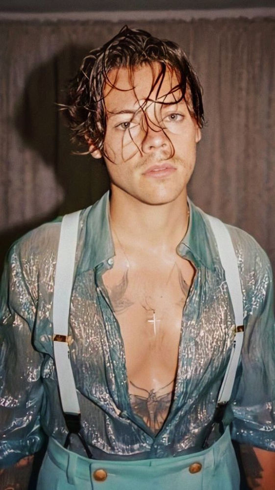 Harry Styles, un Artista que Promete un Futuro Brillante. Harry Styles, un Artista que Promete un Futuro Brillante.