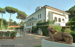 Mimmo Paladino-Sfinge copia