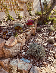 jardin Arboré