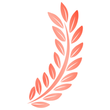 24.png