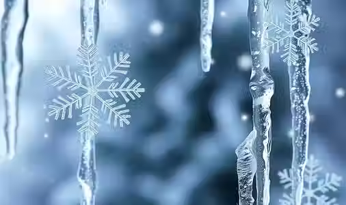 Discover the Exciting November Events and Activities at Royal Oak Community School