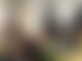 Una cena per le volontarie e i volontari delle Feste