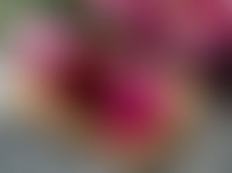 Give Me a Beet: Why this Root Vegetable Should Be on Your Plate