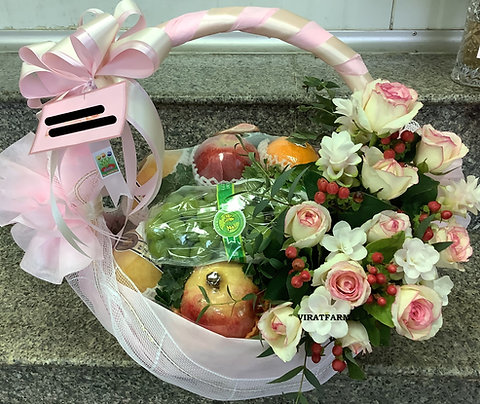 GBK0002