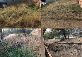 Before After 1.jpg