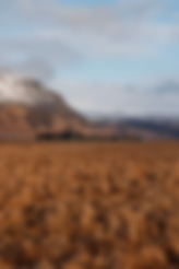 Screenshot 2026-07-02 at 15.17.21.png