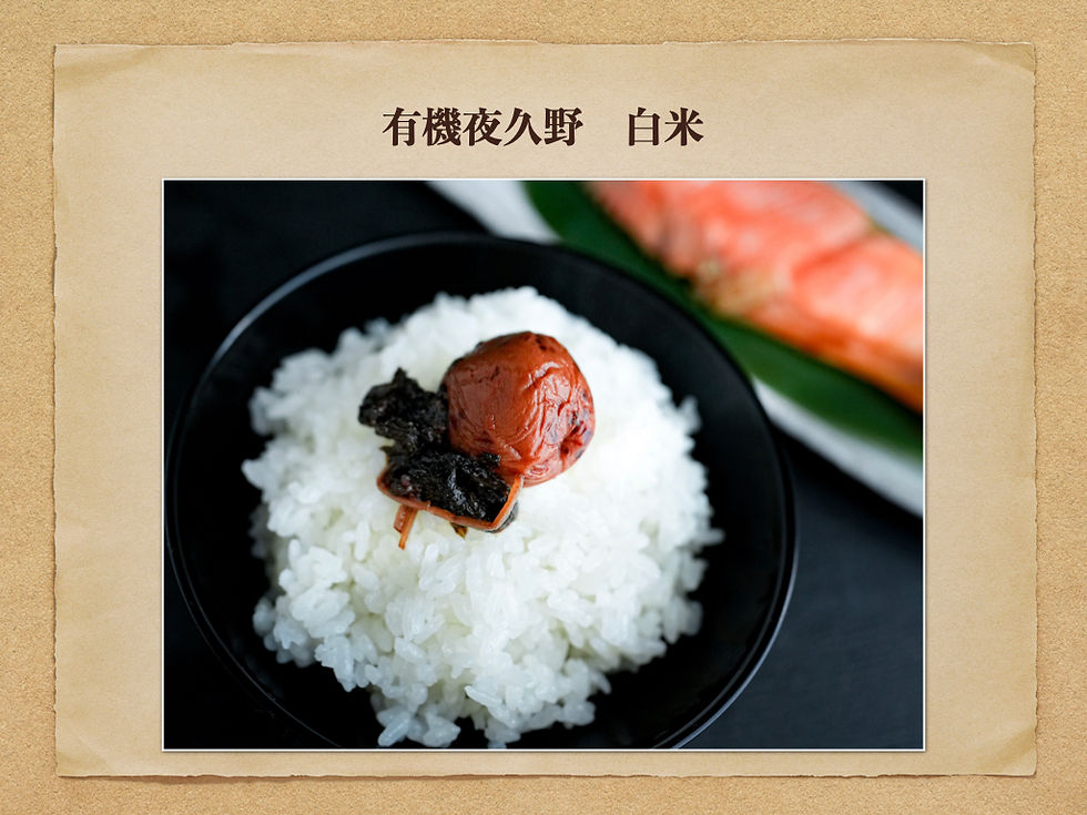 コシヒカリ　白米　玄米