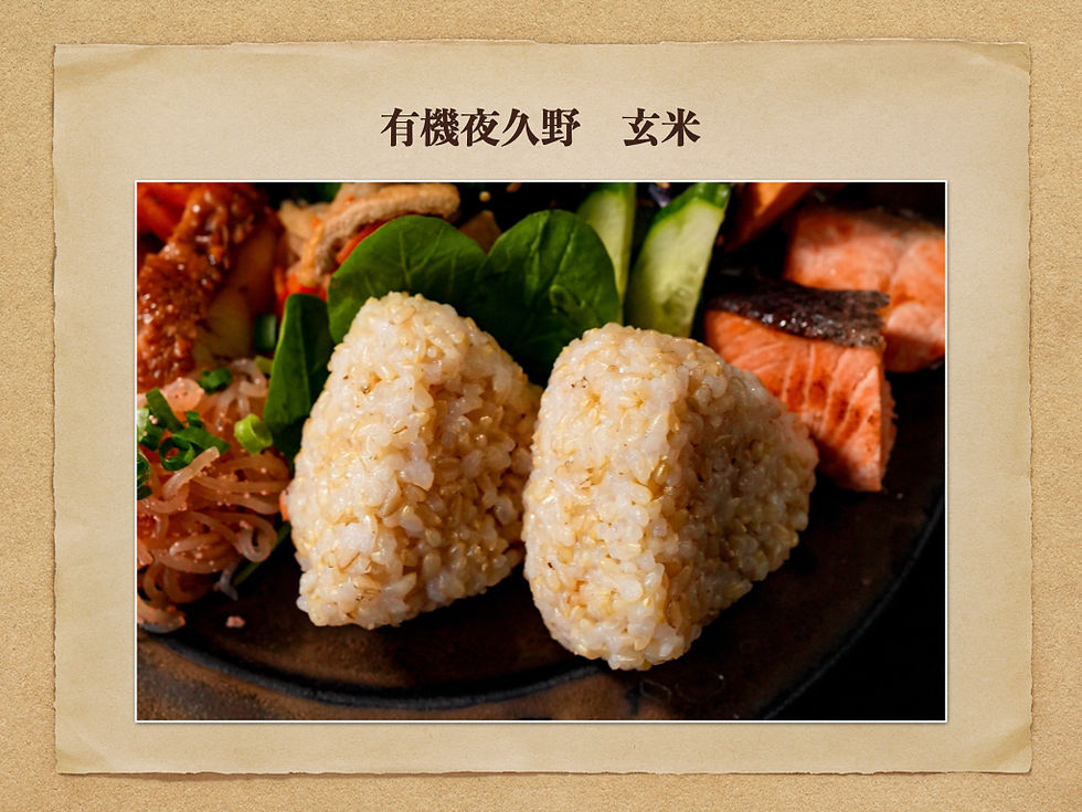 コシヒカリ　玄米　有機夜久野