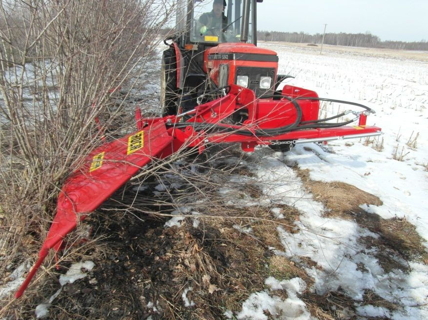 Plantation rejuvenation