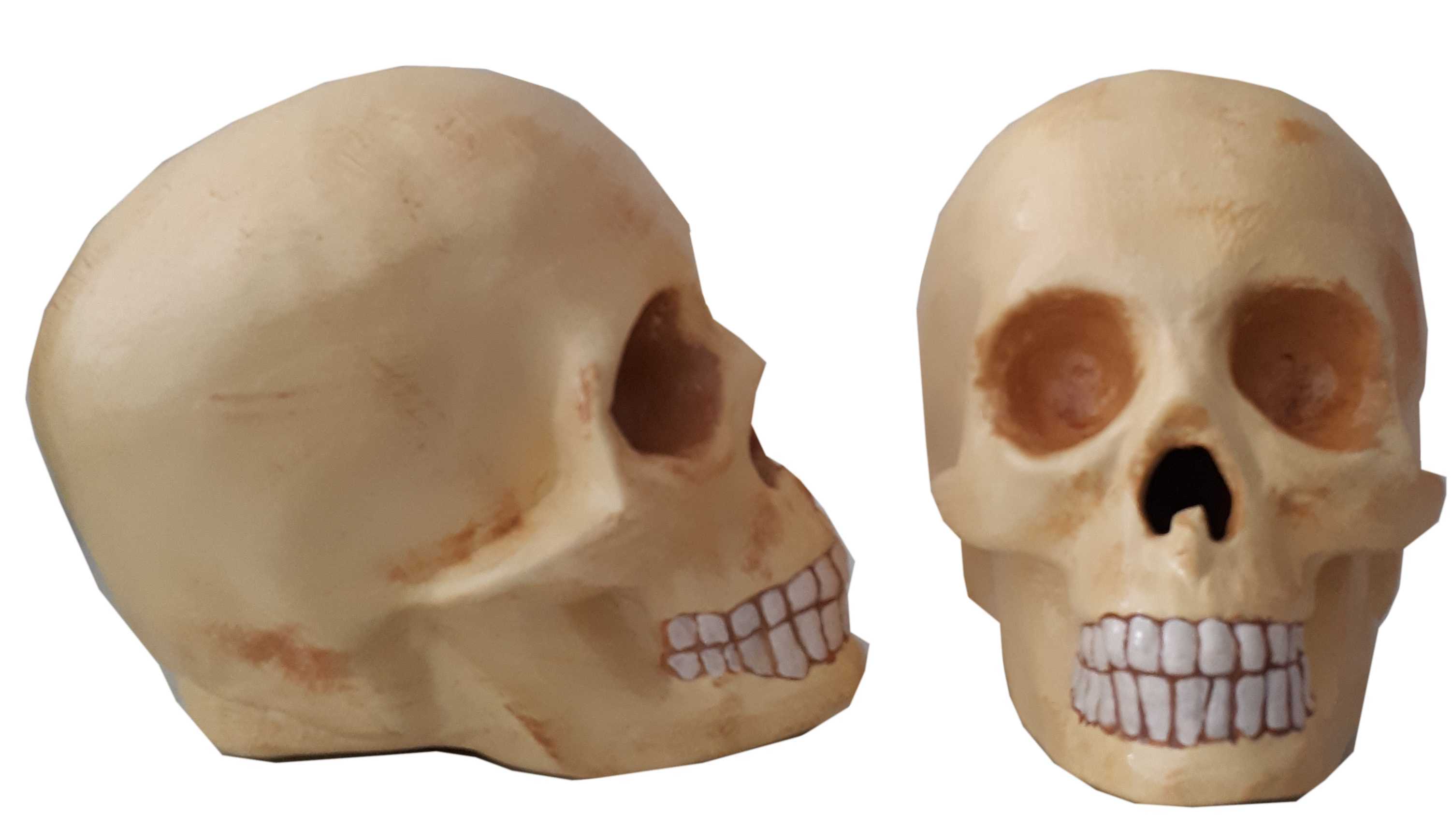 plainskull