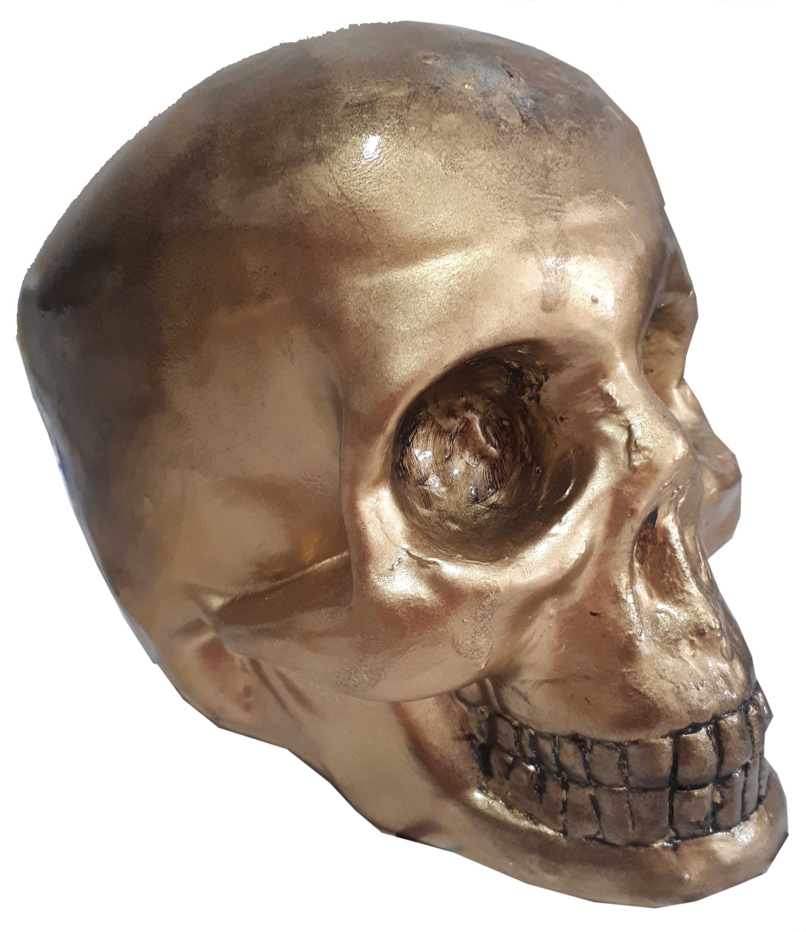 oldgoldskull