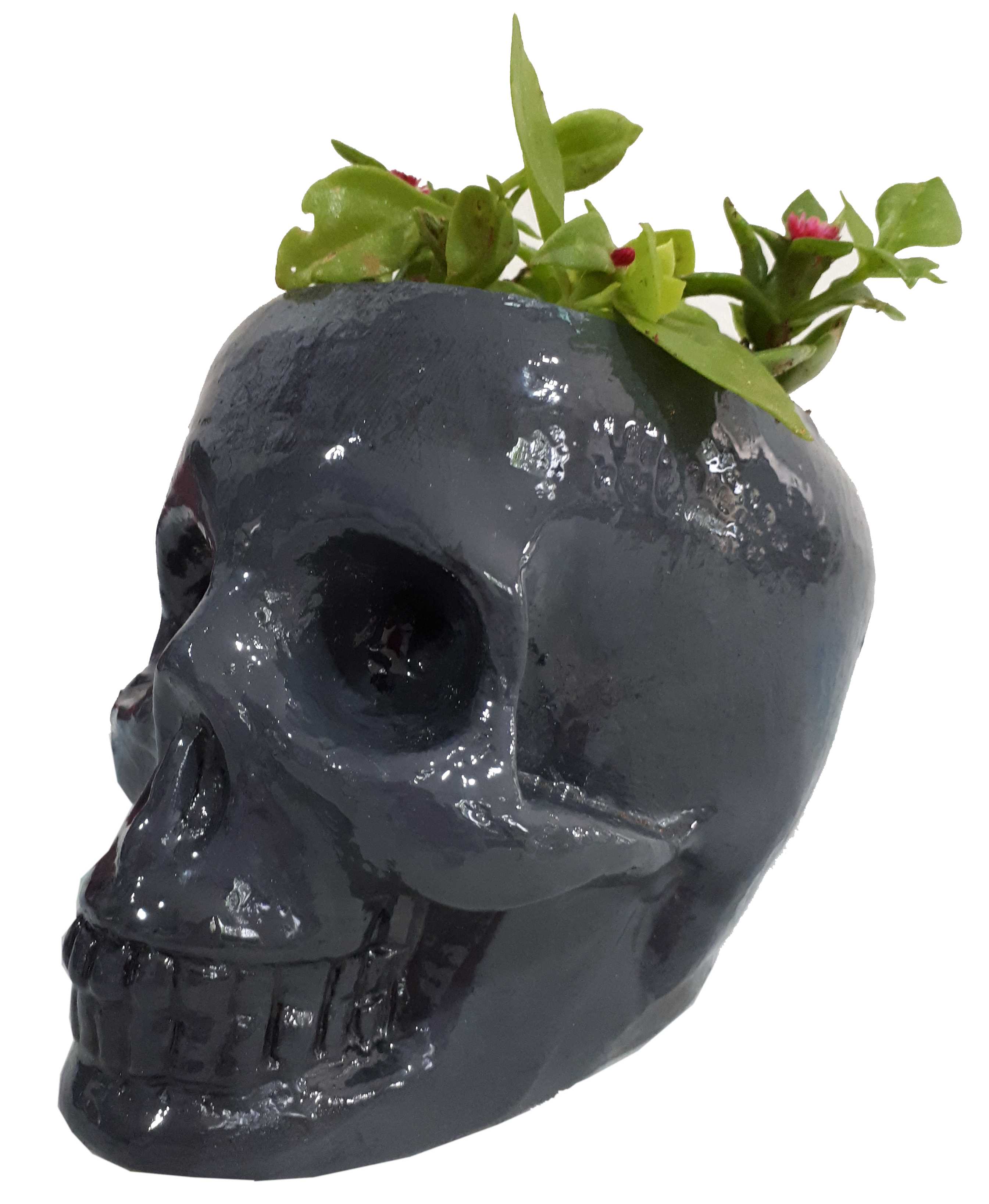 plantpot1