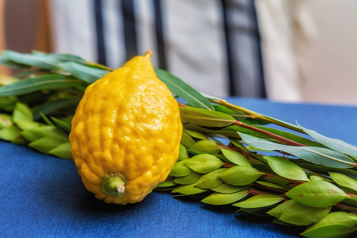 Sukkah building, Kabbalat Shabbat and Potluck