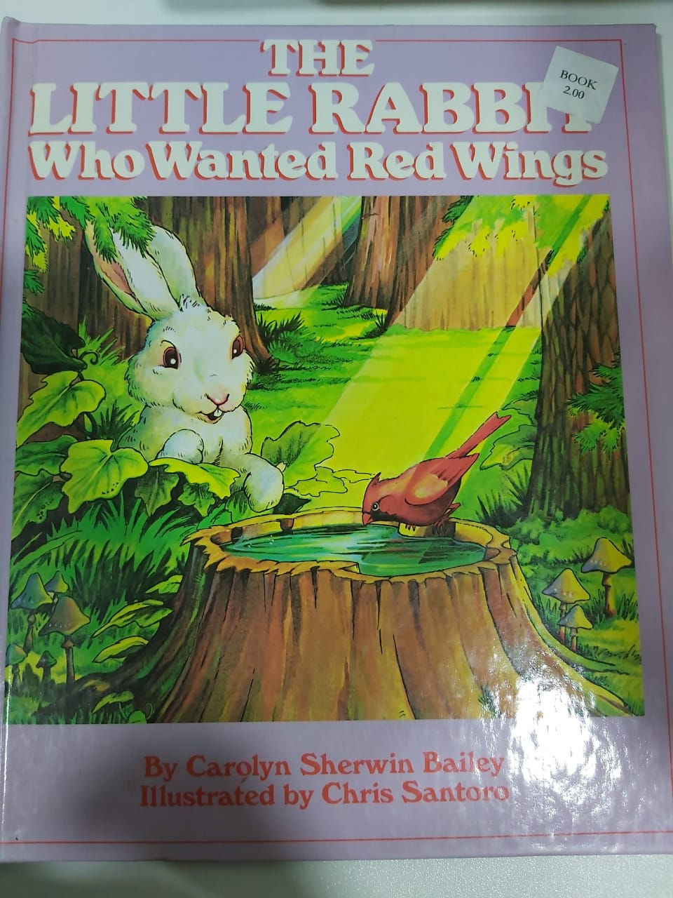 The Little Rabbit who Wanted Red Wings