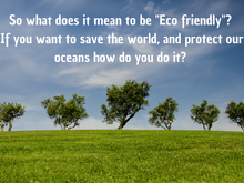 How to be Eco Friendly