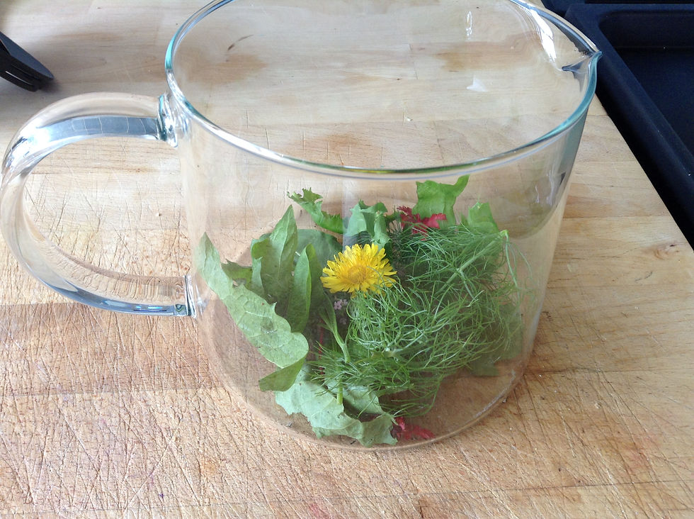 Wild Tea