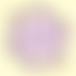 1月のみことば