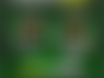 Unlock Career Success: "Beyond Theory: Blueprint for Success" - Mohammed Zahid