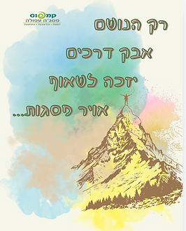 צילום מסך 2024-10-30 ב-15.33.11.png