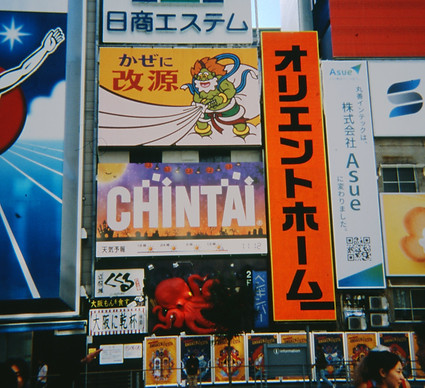 img421.jpg