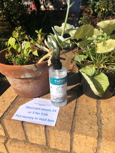 plants and sanitizer