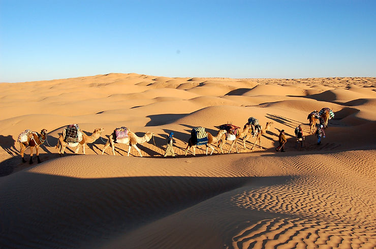 A caravan passing through the desert