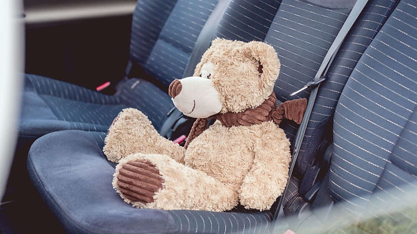 siéges voiture après nettoyage avec peluche