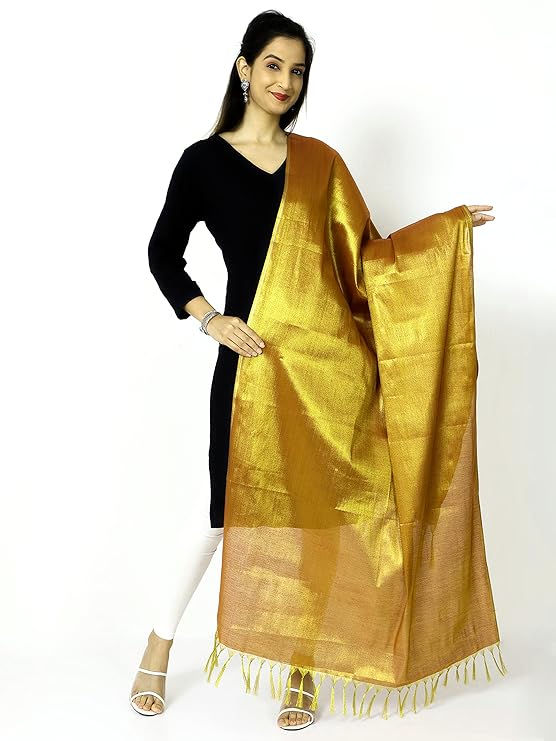 Velvet & Banarasi Touches