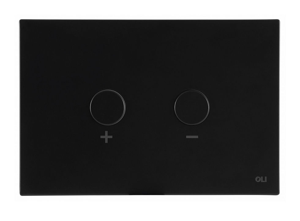 Thumbnail: Dual flush in-wall cistern suitable