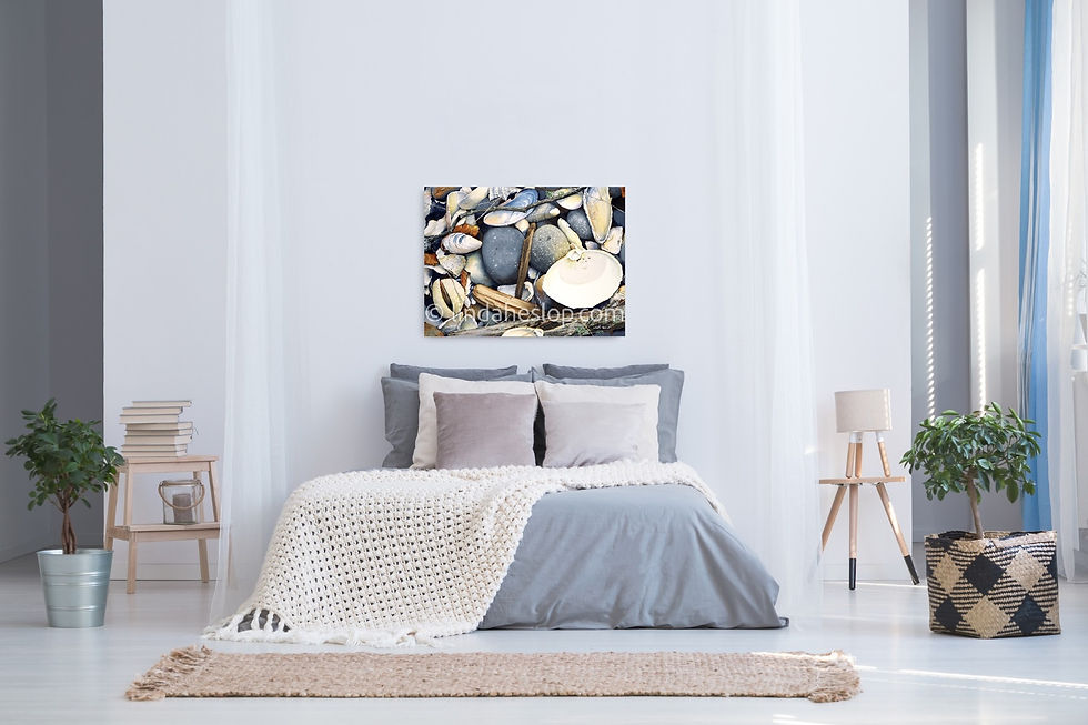 Thumbnail: Canvas Print - Linda Heslop - Blues in her Wake - Shell Shocked- Shells - Driftwood - Beach