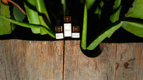 bao oils.jpg