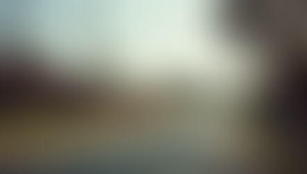 Willetton Tutoring Guide: Why Choose Loyola Tutoring in Willetton