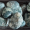 Thumbnail: Tree Agate