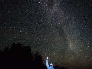 Lorbeer an der Kloschüssel & die Suche nach der ewigen Liebe 