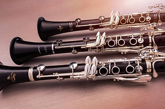 Avalon School of Music teaches Clarinet lessons