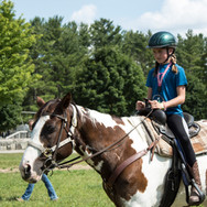horse2.jpg