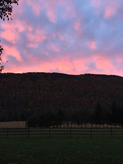 Views Therayvernonestate