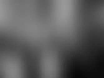 Why Choose a Wedding Photography Company Over a Wedding Planner?